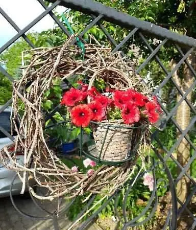 ゲストハウス Rudolf's Fogado 3*