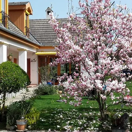 ゲストハウス Rudolf's Fogado