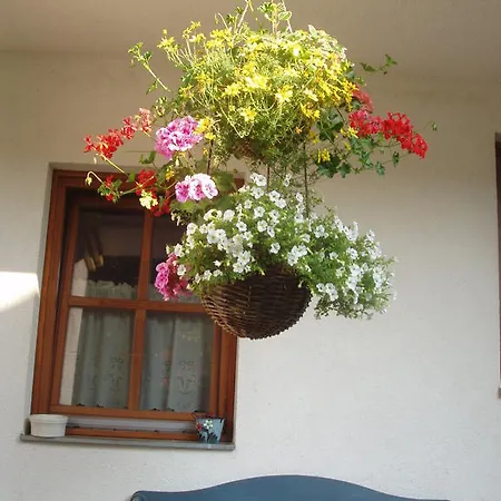 Rudolf's Fogado Zsira